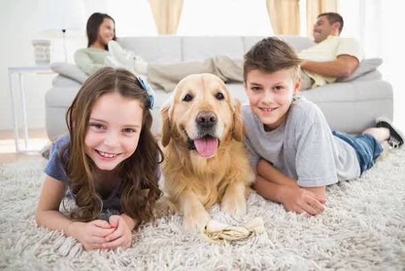Top Pet-Friendly Apartments with Dedicated Dog Parks Top Pet-Friendly Apartments with Dedicated Dog Parks